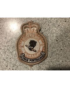 9037 11G- 436 Squadron Heraldic Crest Tan